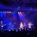 mountains-and-dogs avatar