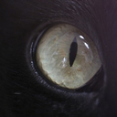 mountainspook avatar