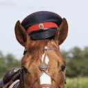 mountedhistory avatar