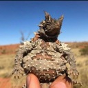 mourningnoise avatar