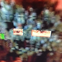 mourningsunshine avatar