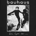 mourntomidnight avatar