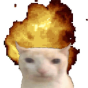 mouse-brained avatar