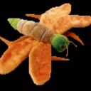 mouse-jelly0224 avatar