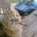 mouse-of-leaves avatar