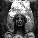 mousebiteof67 avatar