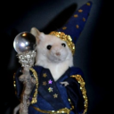 mousegoblin avatar