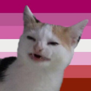 mousersmoonbeams avatar