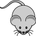 mouseshit avatar