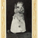 mousewhispers avatar