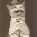 moustacheandvintage avatar