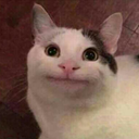 moved-account-g-blog avatar