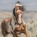 moved-to-arthtism avatar