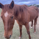 moved-to-slayfk avatar