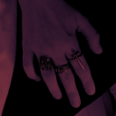 movedto-breederbutch avatar