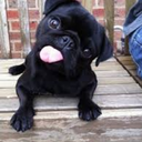 moveonlyforward avatar