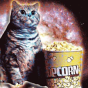 moviecat-supreme avatar