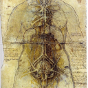 moviesandropes avatar