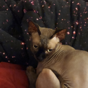 moving-accounts-yeet avatar