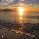 moving-in-silence avatar