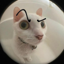 moyuminging avatar