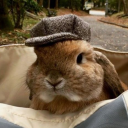 mr-jammed-toast avatar