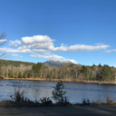 mr-mojo-risin-me avatar