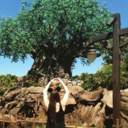 mr-montynavarro avatar