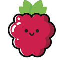 mr-raspberrys avatar