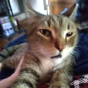 mr-rupurr-giles avatar