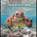 mr-stevens007pt2 avatar