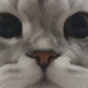 mr-the-somebody avatar