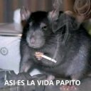 mrgakonaranjoso avatar