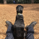 mrhorselover28 avatar