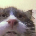 mrimayormaynot avatar