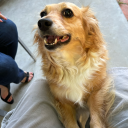 mrmarstumtumsblog avatar