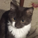 mrmasculineluxury avatar