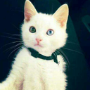 mrocznaksiezniczka124 avatar