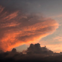 mrpancakecabron avatar