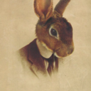 mrrabbitsrabbithole avatar