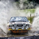 mrreddogs-blog avatar