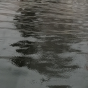 mrs-kwakski-duck avatar