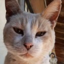 mrsjaegerjaquez avatar