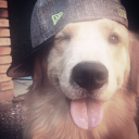 mrskennedysworld avatar