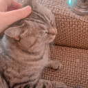 mrstarlightlove avatar