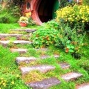 mrtoutlemonde avatar