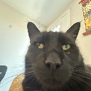 mrworldwidebackagain avatar