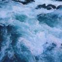 ms-perfectly-fine avatar