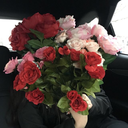 msdistractions avatar