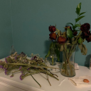 msmiserysworld avatar